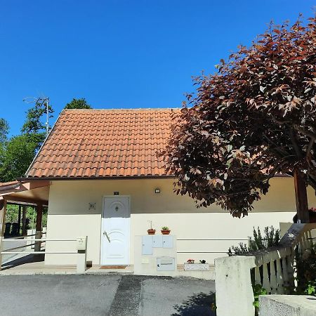 Casas Do Caminho Velho Apartman Ribeira de Pena Kültér fotó
