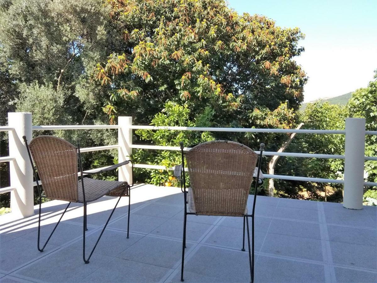 Casas Do Caminho Velho Apartman Ribeira de Pena Kültér fotó